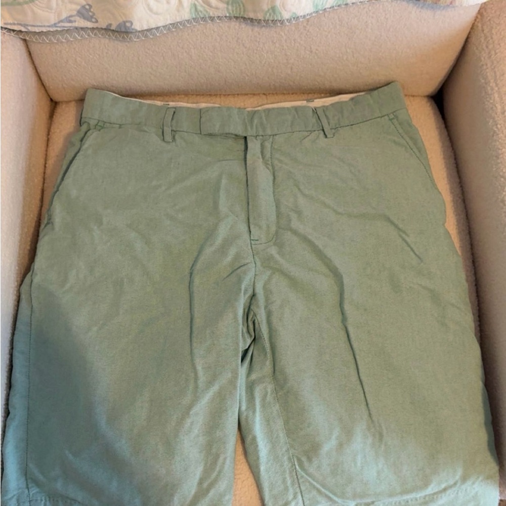 Polo by Ralph Lauren Light Green Flat Front Shorts